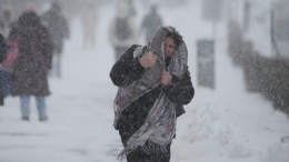 Сугробы по колено и горячая еда: как выжить в снежном апокалипсисе