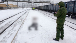 Повторила судьбу мужа спустя 10 лет: в Екатеринбурге под поездом погибла мать троих детей