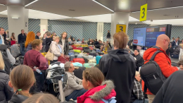 Коллапс в Шереметьево: пассажирам по несколько часов не могут выдать багаж