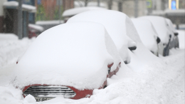 Зима усиливает хватку: какая погода ждет москвичей 10 января