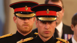 Принц Гарри утаил подробности о брате в мемуарах из-за страха мести