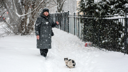 Улицы Петербурга покрылись непроходимыми сугробами из-за циклона «Фрэнсис»