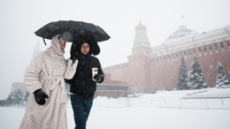 Москвичам пообещали весну на месяц раньше срока в 2026 году