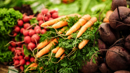 Более 16 тысяч тонн фермерской продукции приобрели на ярмарках в 2025 году