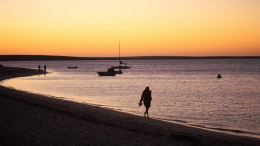 Туристка погибла после нападения акулы на Виргинских островах
