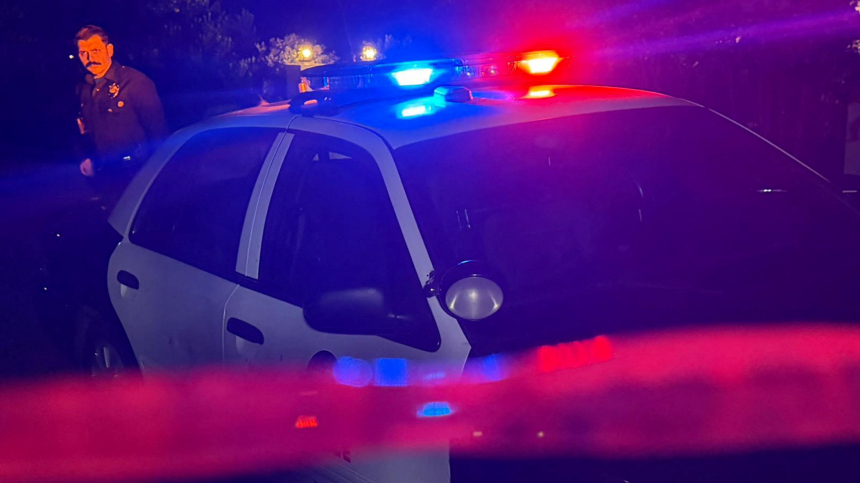 В Лос-Анджелесе грузовик врезался в толпу митингующих