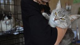 За помощь животным зоопарка москвичи получат больше баллов программы лояльности