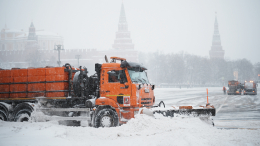 С новым снегом: осадки в Москве продлятся до конца недели
