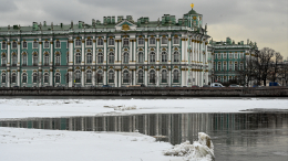 Эрмитаж прокомментировал продление ареста археологу Бутягину в Польше