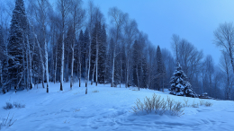 Тайна, которая не отпускает: самые страшные теории исчезновения семьи Усольцевых