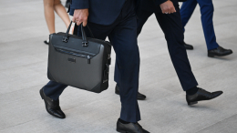 Бизнес-встречи, AI-квиз и менторская гостиная: программа фестиваля «Студфест»