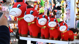 Грустная лошадка с фабричным браком неожиданно стала хитом