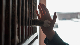 Счастливые истории: как сервис «Моспитомец» помогает животным обрести новый дом