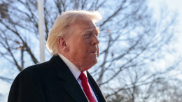 Трамп: НАТО станет эффективнее, если Гренландия войдет в состав США