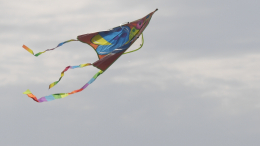 Смертельный фестиваль: нити от воздушных змеев убивают людей в Индии