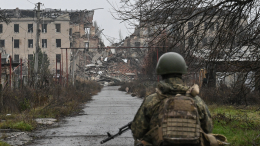 Армия России освободила восемь населенных пунктов за две недели января