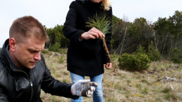 Стали известны причины задержания директора нацпарка «Куршская коса»