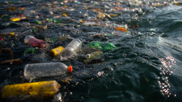 ИИ поможет очистить от мусора моря Арктики