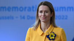 Профессиональная деградация: почему глава Евродипломатии заговорила об алкоголе