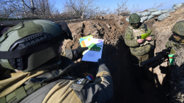 Бойцы СВО получили от жителей Москвы более тысячи открыток к Новому году