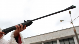 Гнался на авто и выстрелил: житель Приморья жестоко расправился с собакой