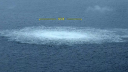 В Госдуме назвали решение суда ФРГ по делу о «Северных потоках» трусливым