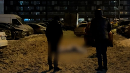 В Петербурге в ходе драки был зарезан мужчина