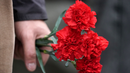 Рассекречены документы об убийстве нацистами душевнобольных под Ленинградом