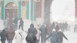 Полметра снега за две недели: как Москва пережила январский удар стихии