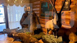 Роскошный особняк и гараж спецтехники: в доме главы Приморско-Ахтарска прошли обыски