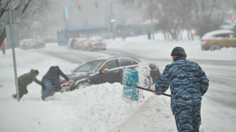 Машина застряла в снегу, а поблизости никого? Главные ошибки водителей на дороге зимой