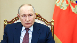 Путин: тема Гренландии и США России не касается