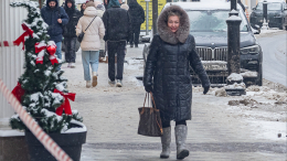 Зима не отступает: какая погода ждет москвичей 22 января