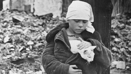 Приносили умирающим от голода людям крыс: как помогали кошки в блокаду Ленинграда