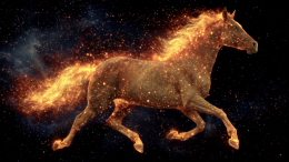 Ничего не изменилось? Почему год Лошади еще не наступил и когда ждать перемен