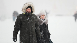 Укутаться и не выходить: москвичам назвали самый холодный день зимы