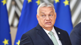 Орбан ответил на фразу Зеленского о «подзатыльниках для каждого Виктора»