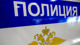 Скрутили в торговом центре: задержание за кражу в Петербурге обернулось гибелью покупателя