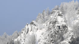 Доброволец рассказала о дальнейших планах поиска семьи Усольцевых