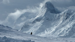 Ошибка природы или мем года? Белый дом опубликовал фото Трампа с пингвином в Гренландии