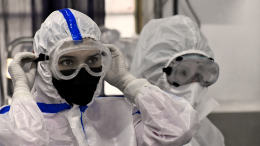 Вспышку смертельно опасного вируса Нипах зафиксировали в Индии: что известно