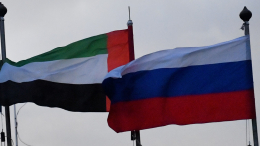 Президент ОАЭ и Дмитриев обсудили развитие сотрудничества стран