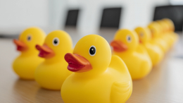 Мужчина уволил сотрудницу клининга за отказ найти 100 пластиковых уток