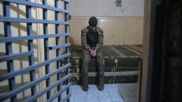 Боевики «Азова*» сдались в плен российским военным под Димитровом