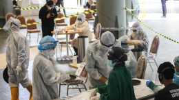 Легко спутать с гриппом: как вирус Нипах может попасть в Россию