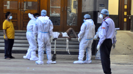 «Как Эбола и Марбург»: раскрыт уровень смертности заразившихся вирусом Нипах