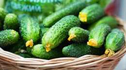 Взял оптом: житель Тюмени украл 1,4 тонны огурцов и продал в своем киоске