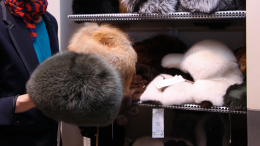 От ушанки до slavic girl: куда пропали меховые шапки и почему они возвращаются