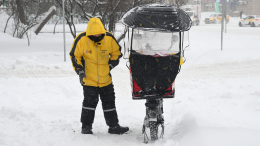 Идут учиться: количество вакансий курьеров на полной занятости впервые снизилось