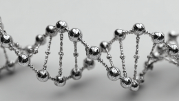 Мужчины вымирают? Что осталось от Y-хромосомы